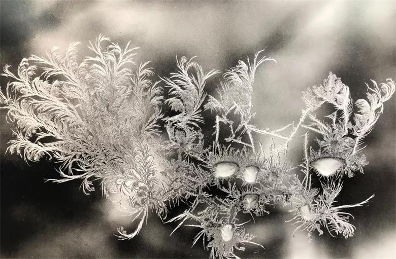 1577114555132182.jpg 微信图片_20191223222735_看图王.jpg