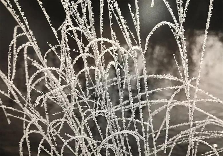 1577114563878328.jpg 微信图片_20191223222738_看图王.jpg