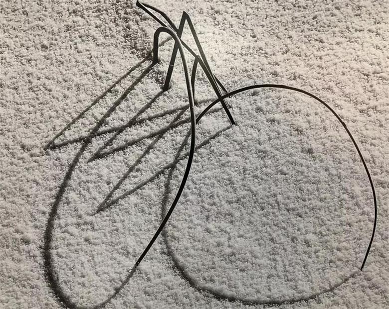 1577114570900626.jpg 微信图片_20191223222742_看图王.jpg