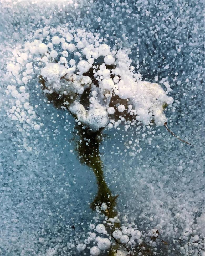 1577114578665183.jpg 微信图片_20191223222744_看图王.jpg