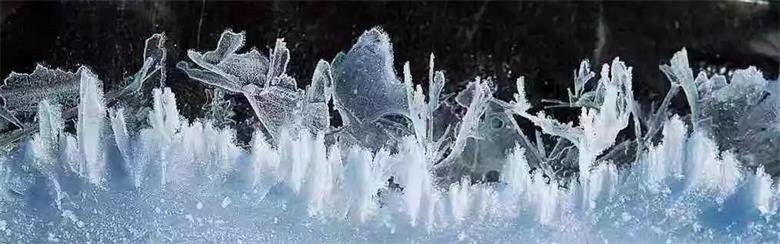 1577114602801747.jpg 微信图片_20191223222753_看图王.jpg