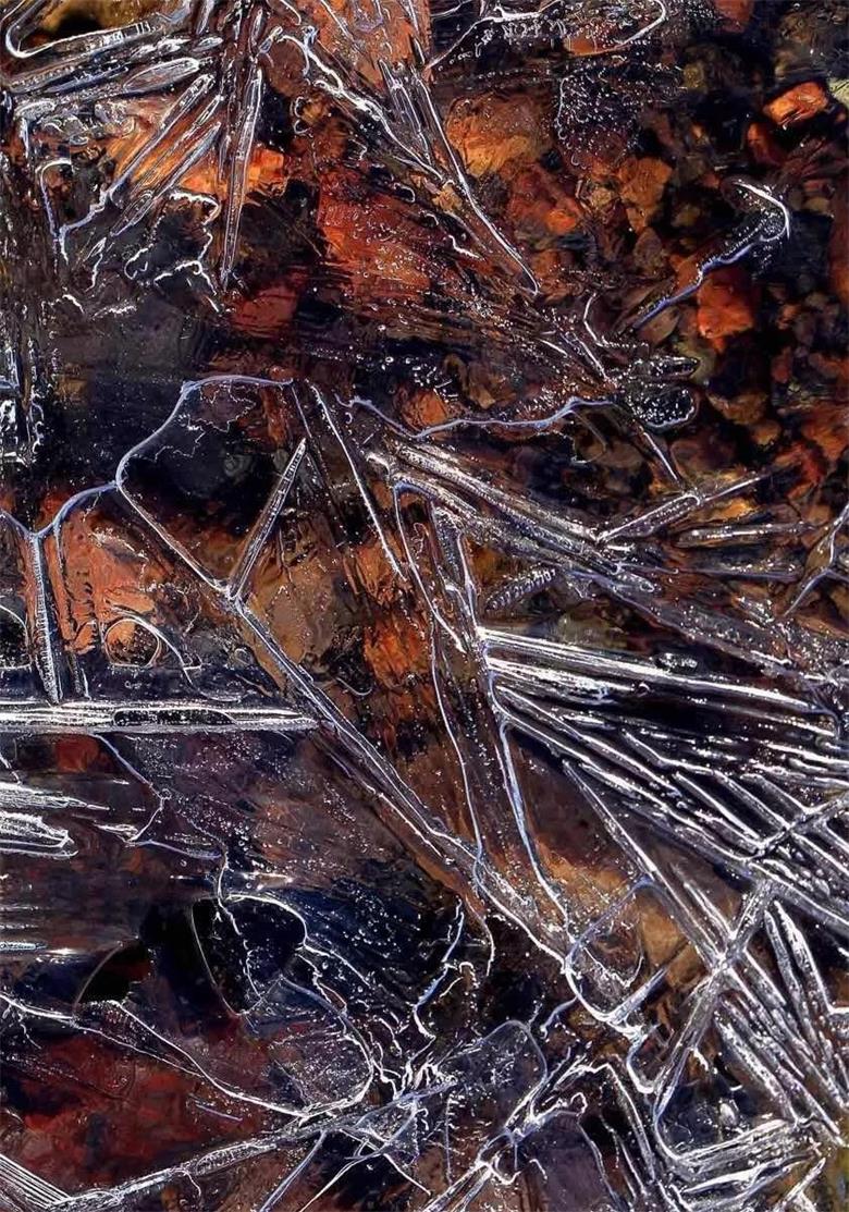 1577114617595746.jpg 微信图片_20191223222756_看图王.jpg