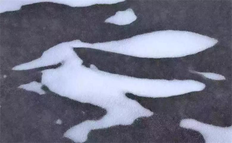 1577114632836031.jpg 微信图片_20191223222801_看图王.jpg